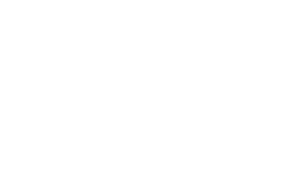 Appsoft Development