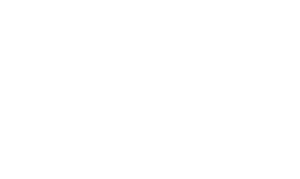 Volvik